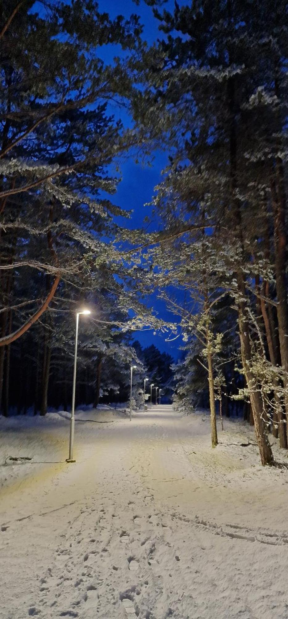 Rasos Vila Palanga Exteriér fotografie